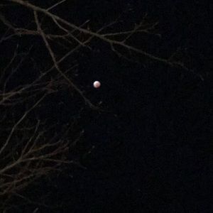 Meet your Posher, Blake